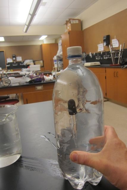 Cartesian Diver Collection