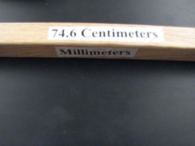 Metric Measuring Sticks