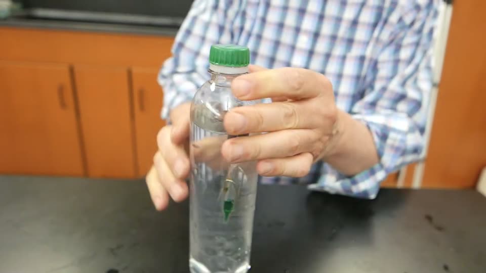 Step 6
