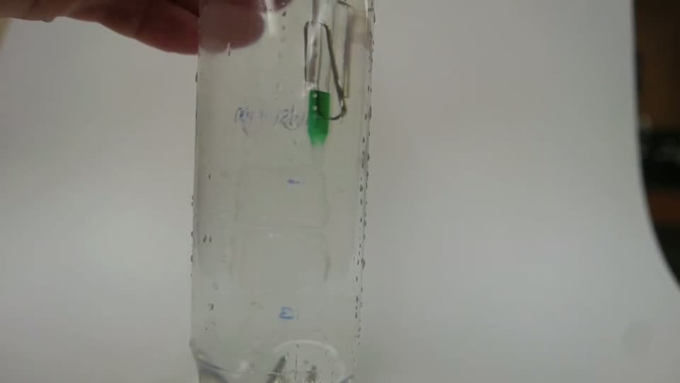 Step 7