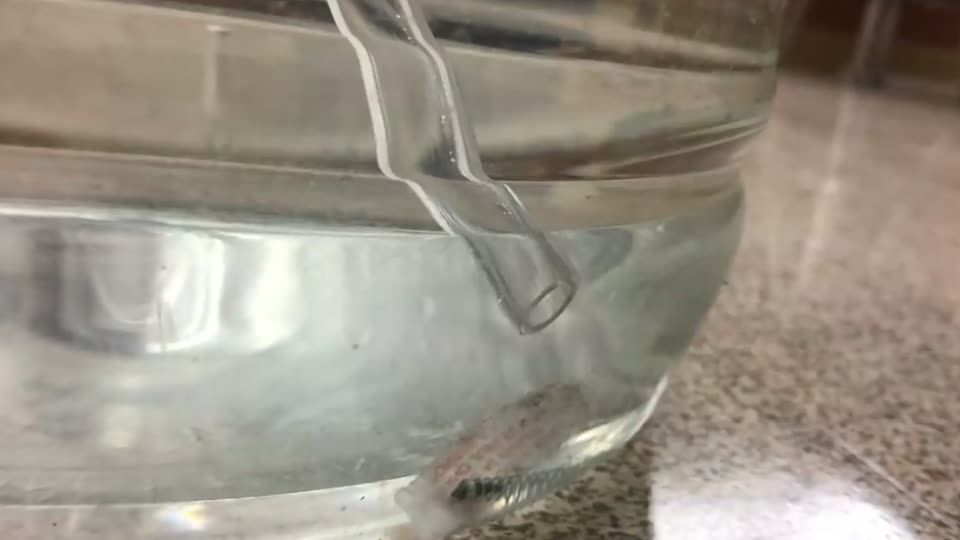 Step 9